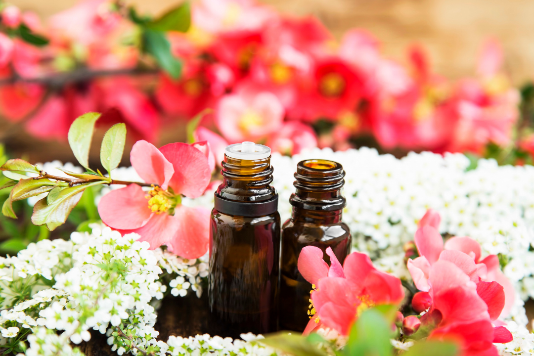 Transformação com as Essências Florais